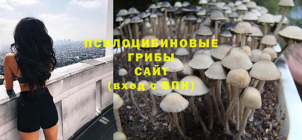ПСИЛОЦИБИНОВЫЕ ГРИБЫ Покров