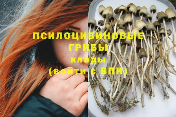 ПСИЛОЦИБИНОВЫЕ ГРИБЫ Покров